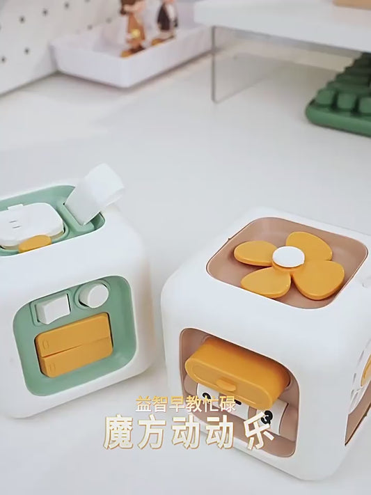 Handheld Activity Cube